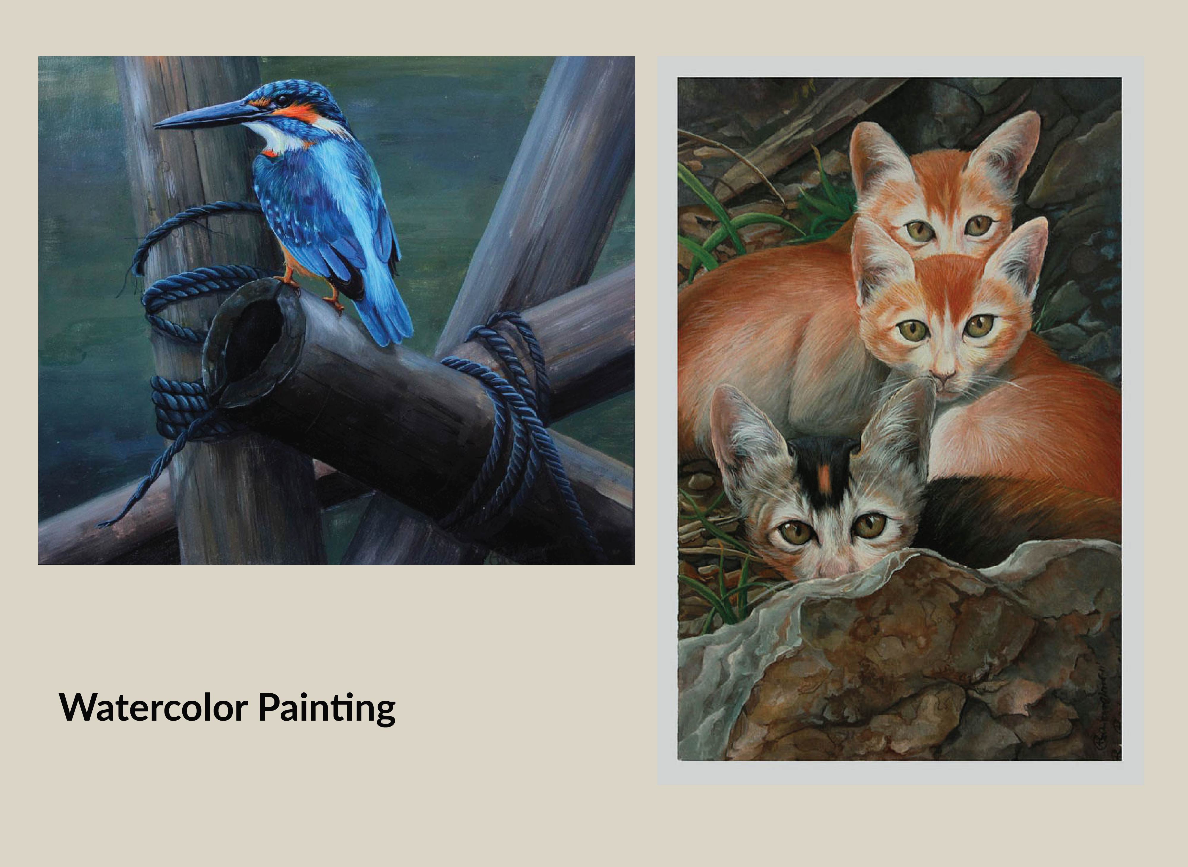 Problem illustration or user quote